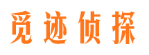 东山市调查公司